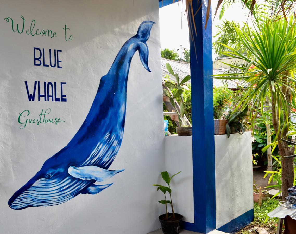 Blue Whale Guesthouse Gili Trawangan Luaran gambar